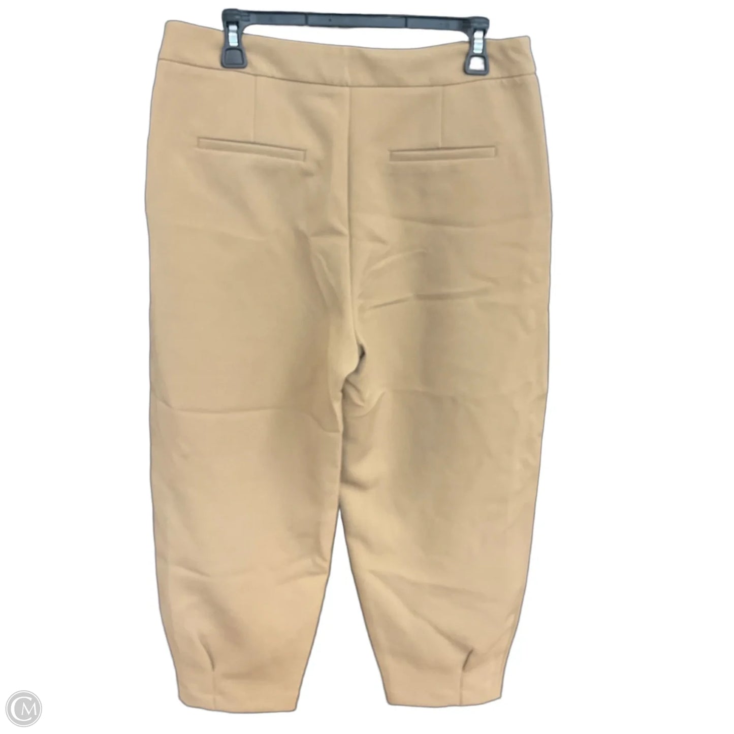 Pants Other By Zara Basic In Tan, Size: L