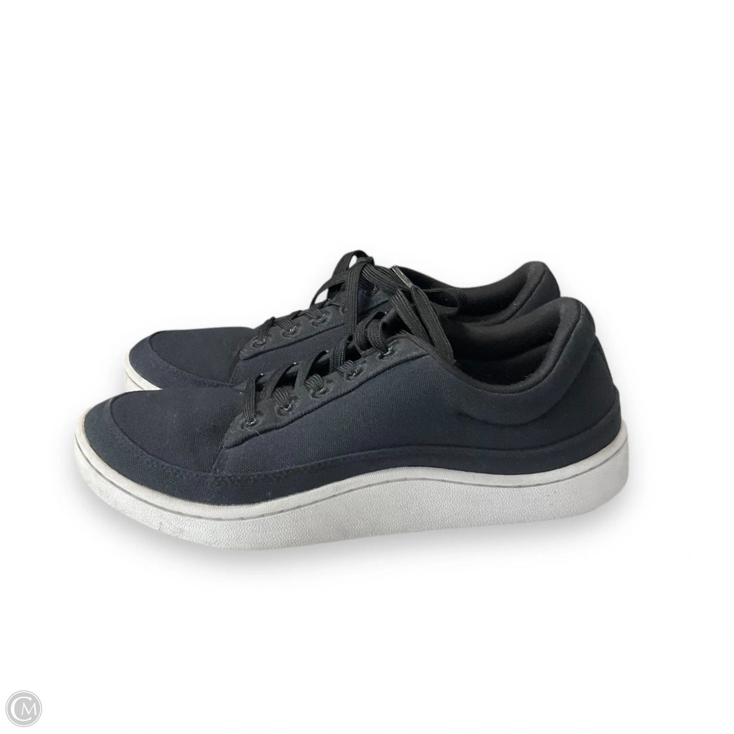 Shoes Sneakers By Allbirds Size: 9