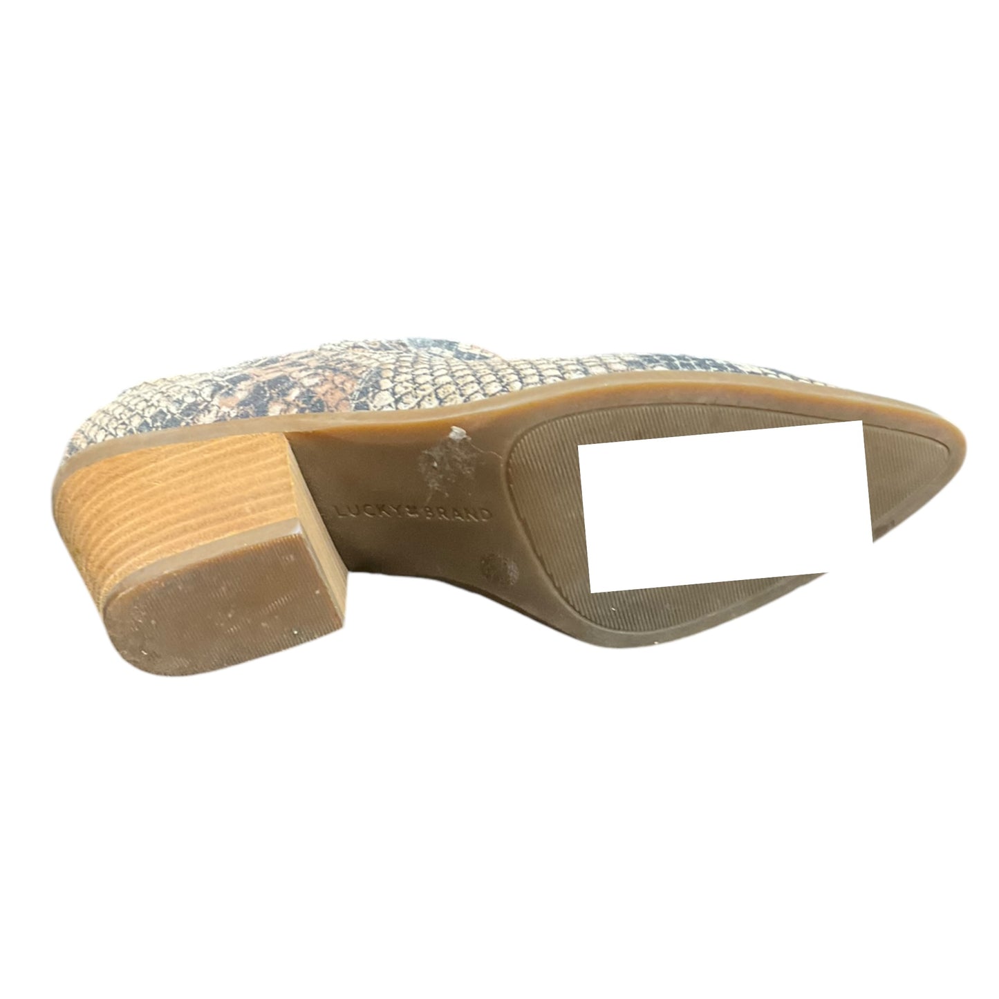 Shoes Heels Block By Lucky Brand In Snakeskin Print, Size: 8