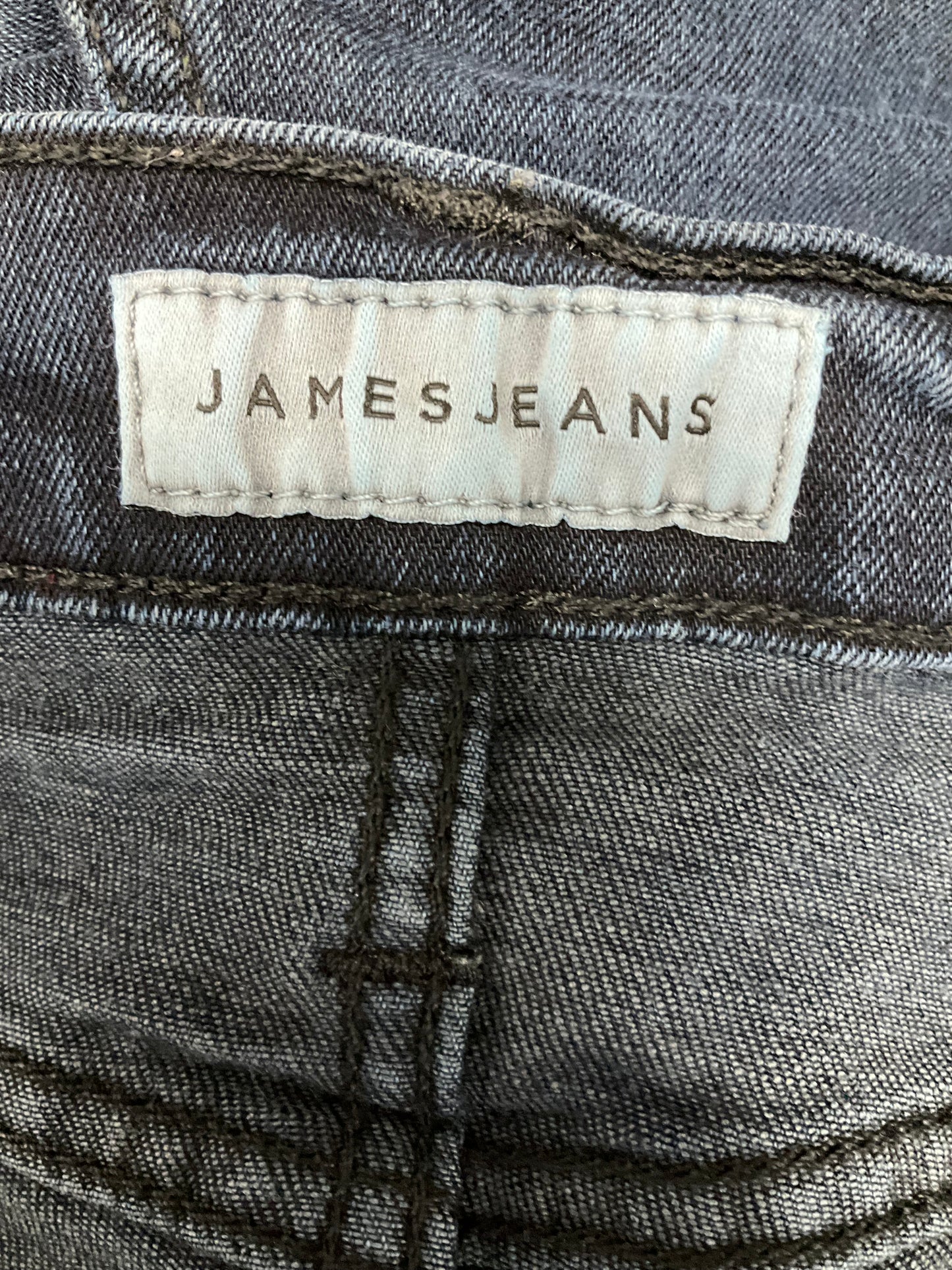 Blue Denim Jeans Skinny James Jeans, Size 2