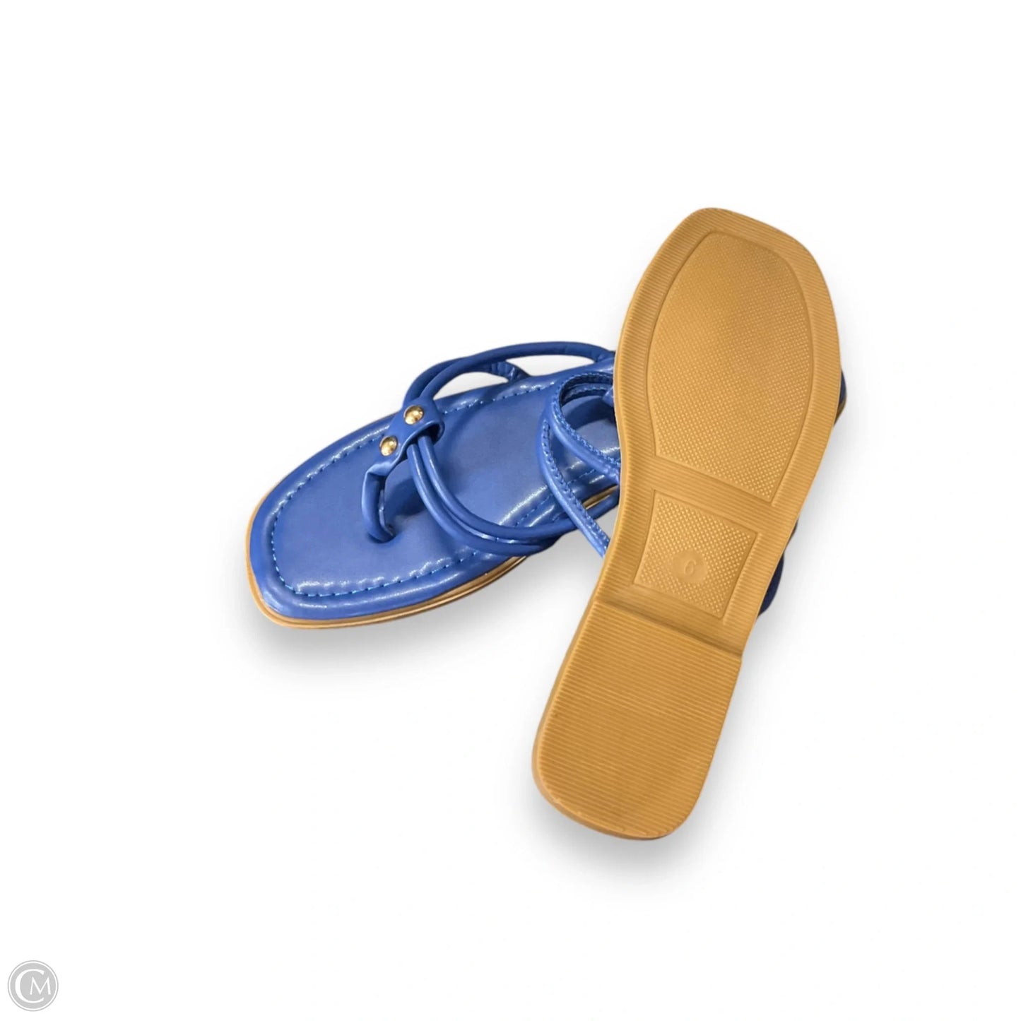 Sandals Flip Flops By Pierre Dumas In Blue, Size: 6