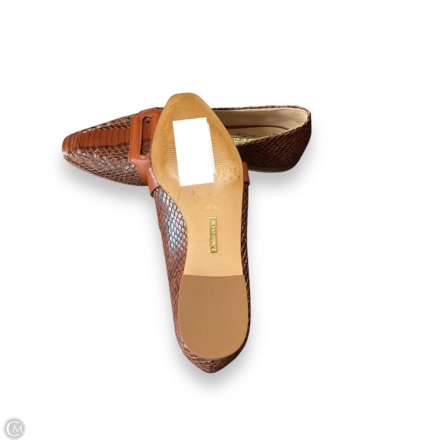 Shoes Flats By Louise Et Cie In Brown, Size: 6