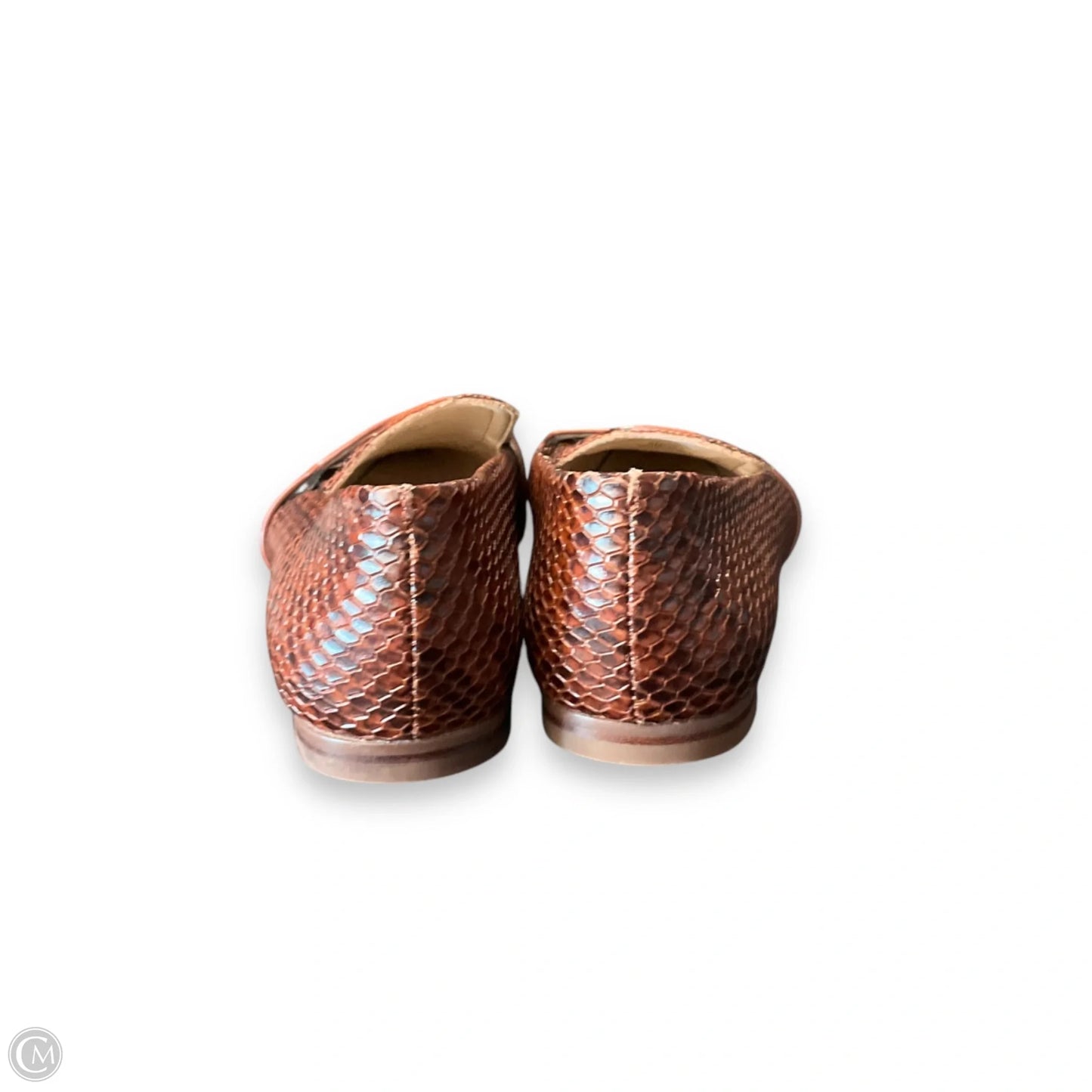 Shoes Flats By Louise Et Cie In Brown, Size: 6