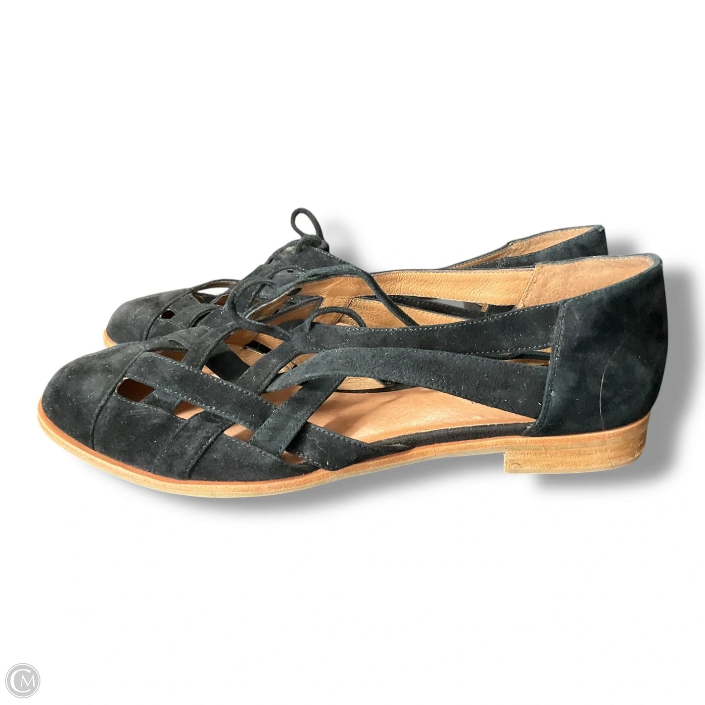 Shoes Flats By Jeffery Campbell In Black, Size: 9