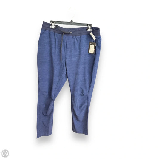 Athletic Pants By Korsa In Blue, Size: Xl