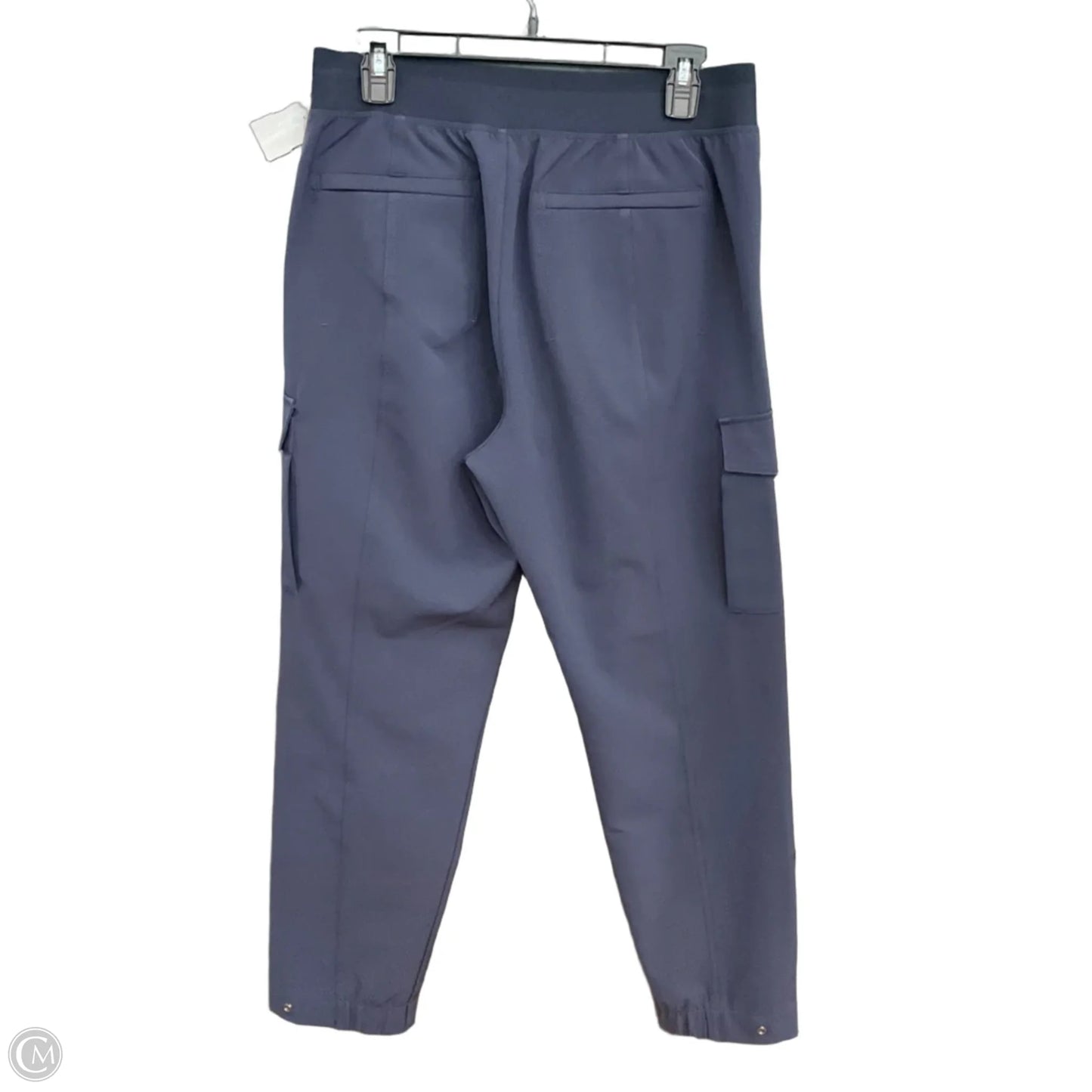 Athletic Pants By Athleta In Blue, Size: 10