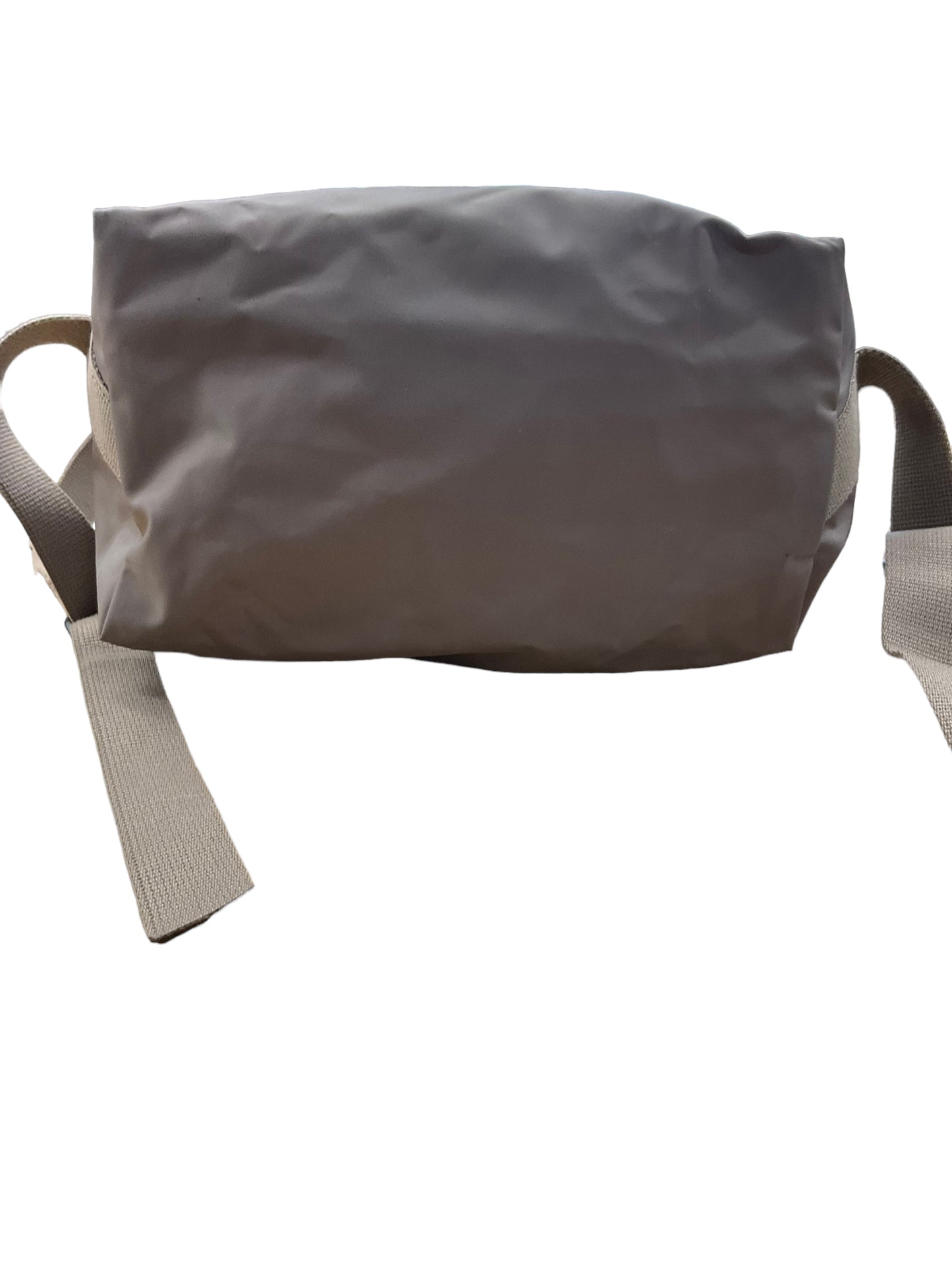 Backpack Designer By Longchamp Size: Medium