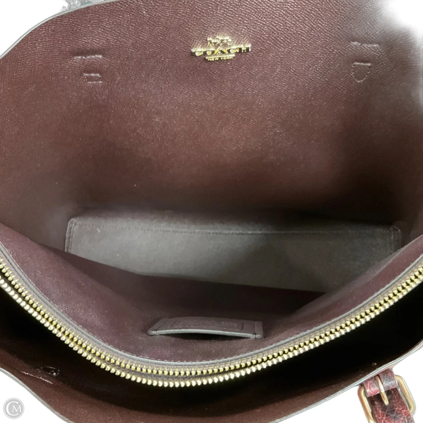 Handbag Designer By Coach, Size: Large