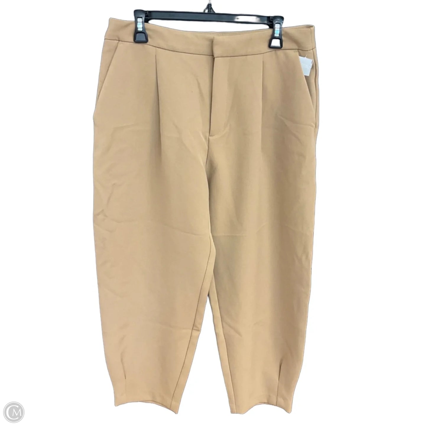 Pants Other By Zara Basic In Tan, Size: L