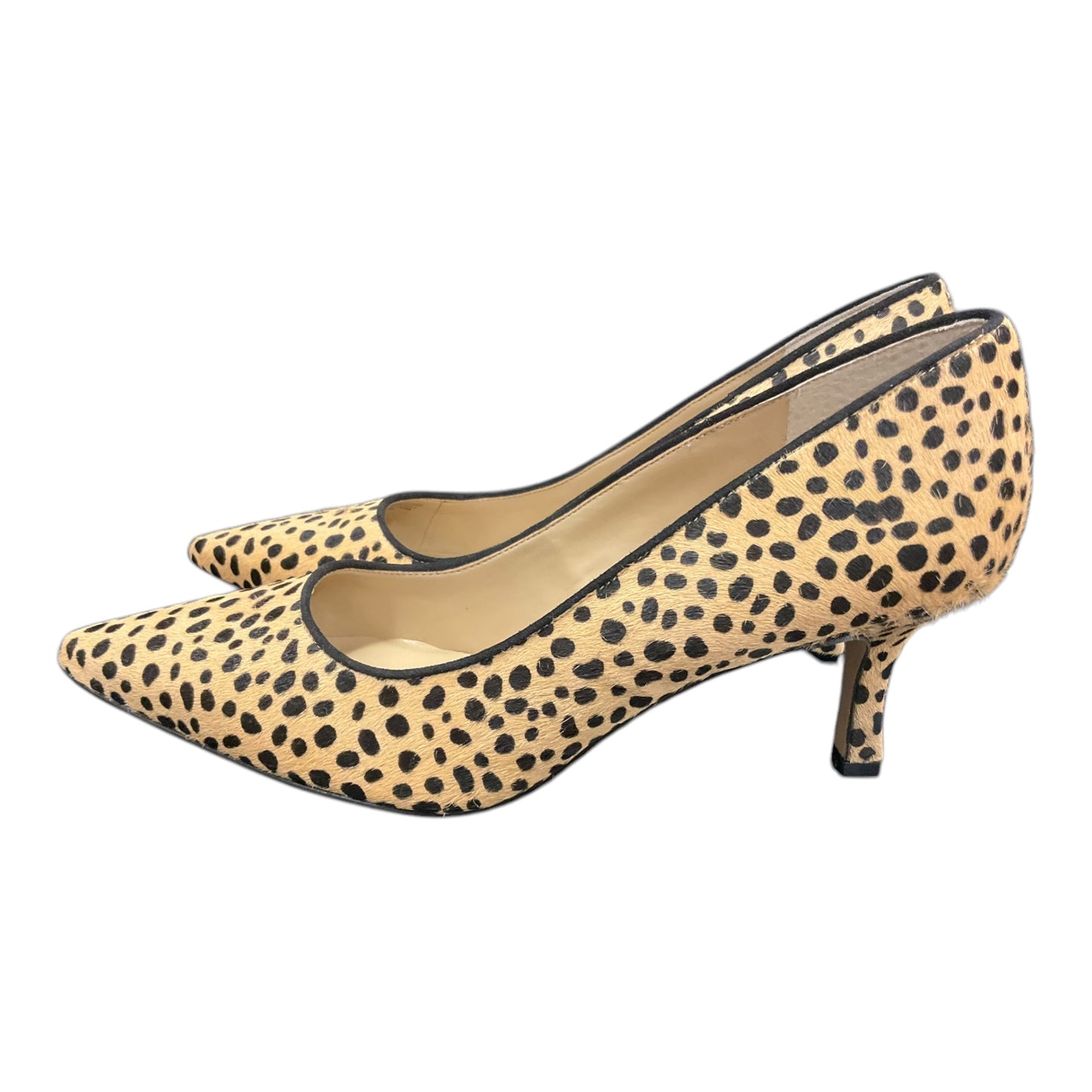 Shoes Heels Stiletto By Ann Taylor In Animal Print, Size: 8.5