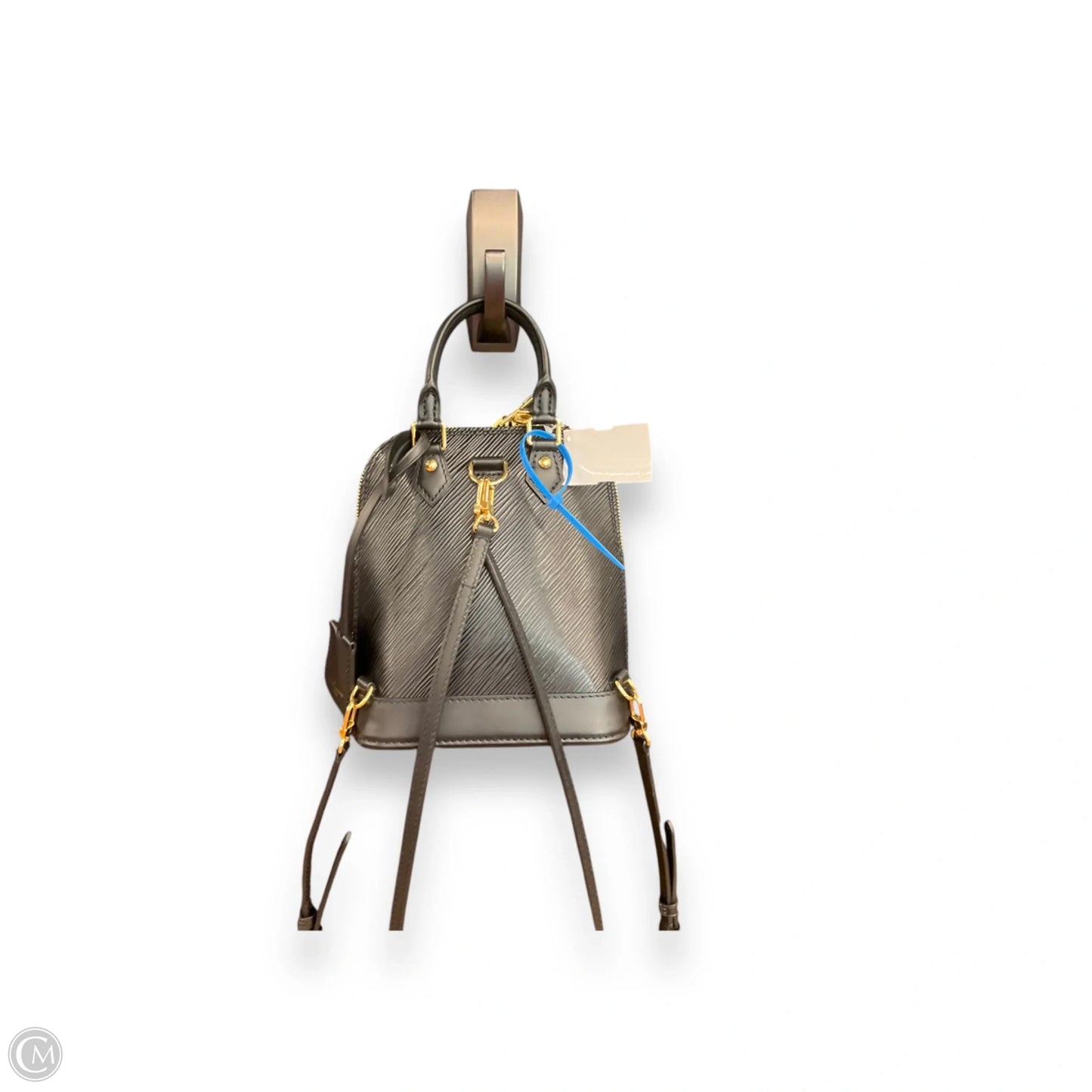 Backpack Luxury Designer By Louis Vuitton, Size: Small