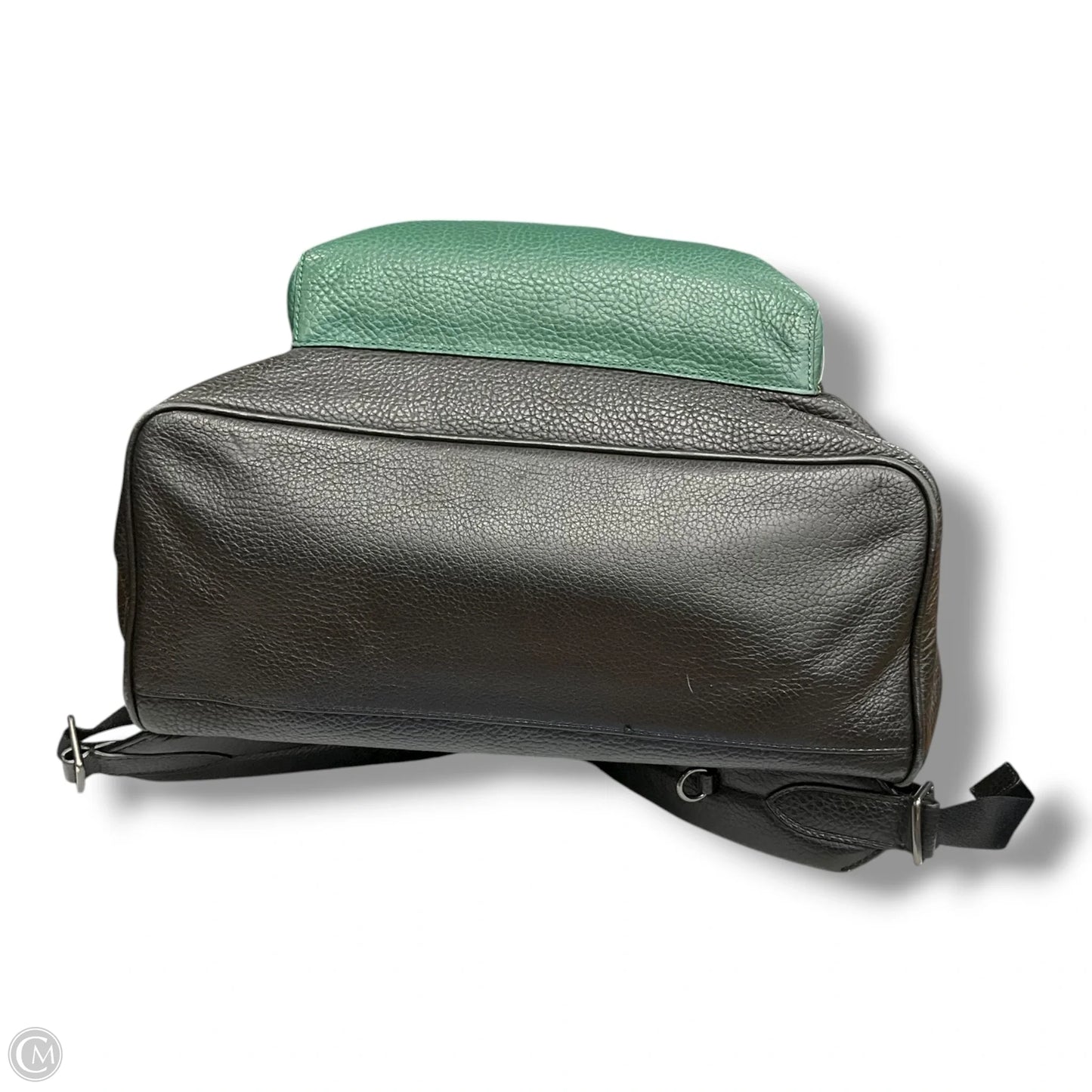 Backpack Designer By Coach, Size: Large