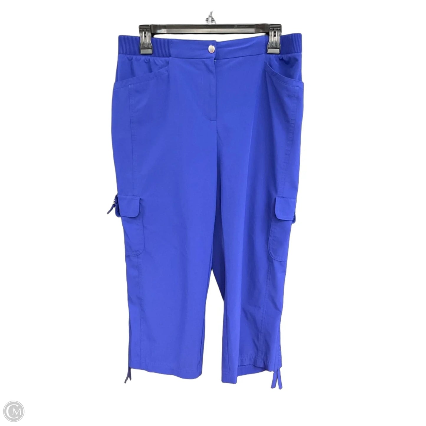 Capris By Chicos In Blue, Size: 8