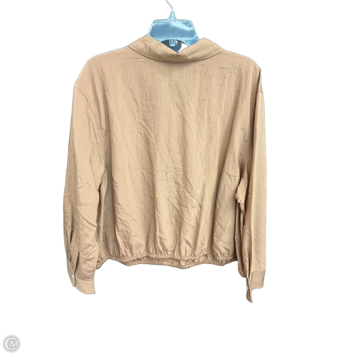 Blouse Long Sleeve By Future Collective In Brown, Size: 2x