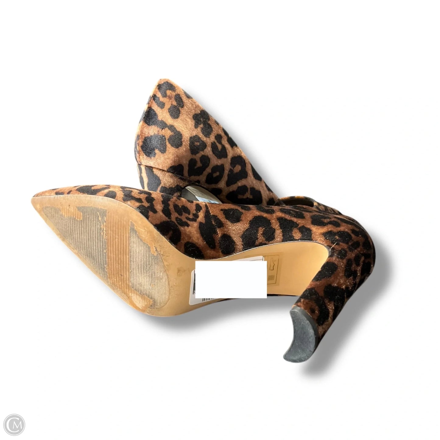 Shoes Heels Stiletto By Aldo In Animal Print, Size: 9