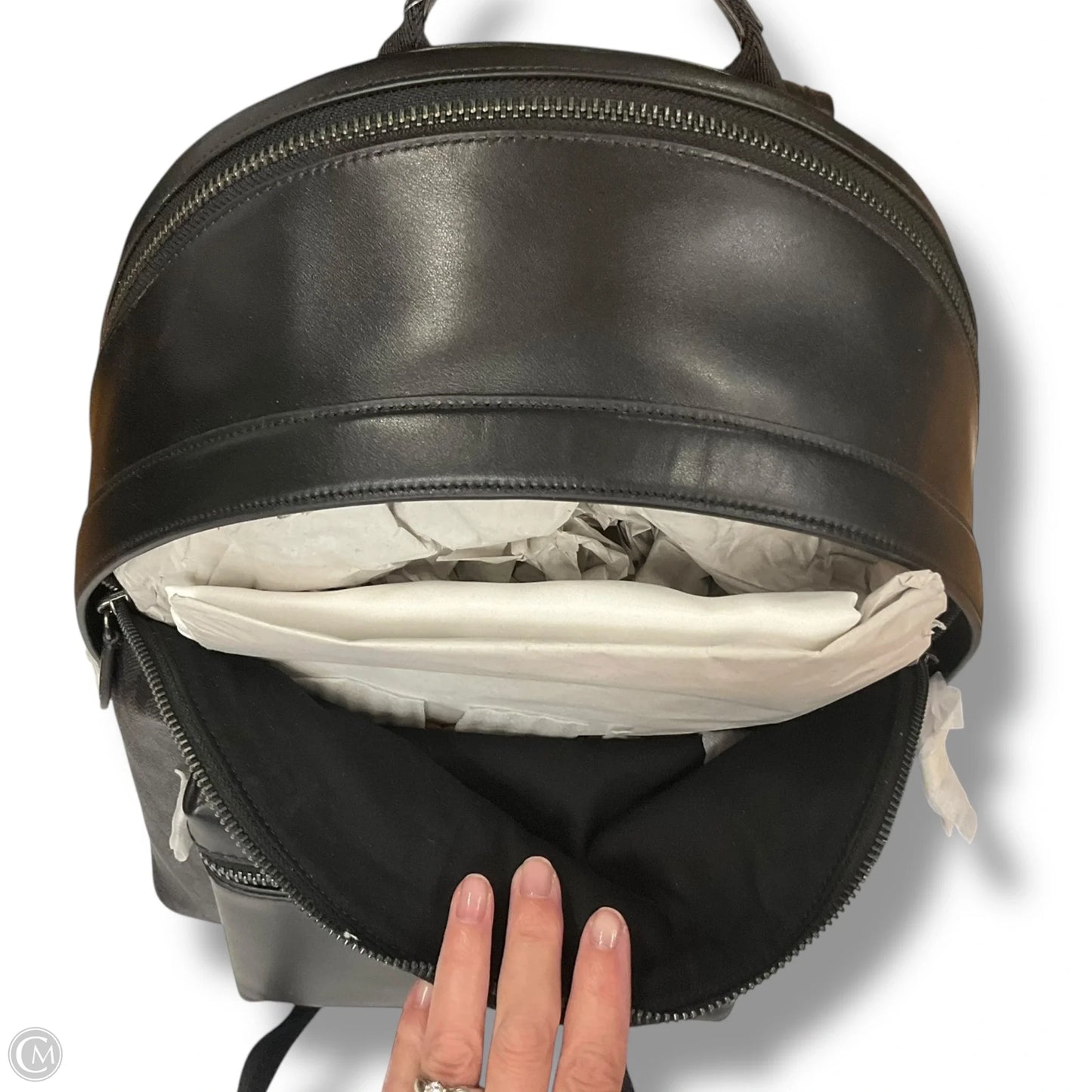 Backpack Designer By Coach, Size: Large
