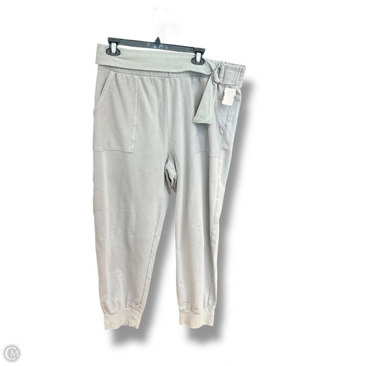 Pants Cargo & Utility By Saturday/sunday In Grey, Size: L
