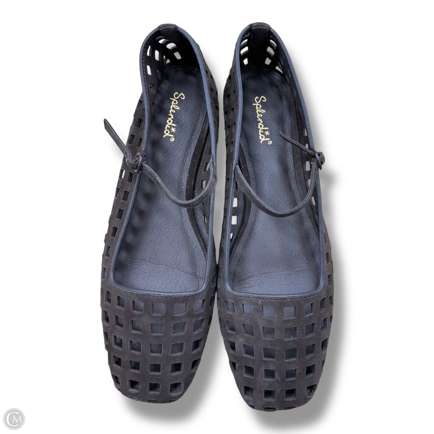 Shoes Flats By Splendid In Brown, Size: 8