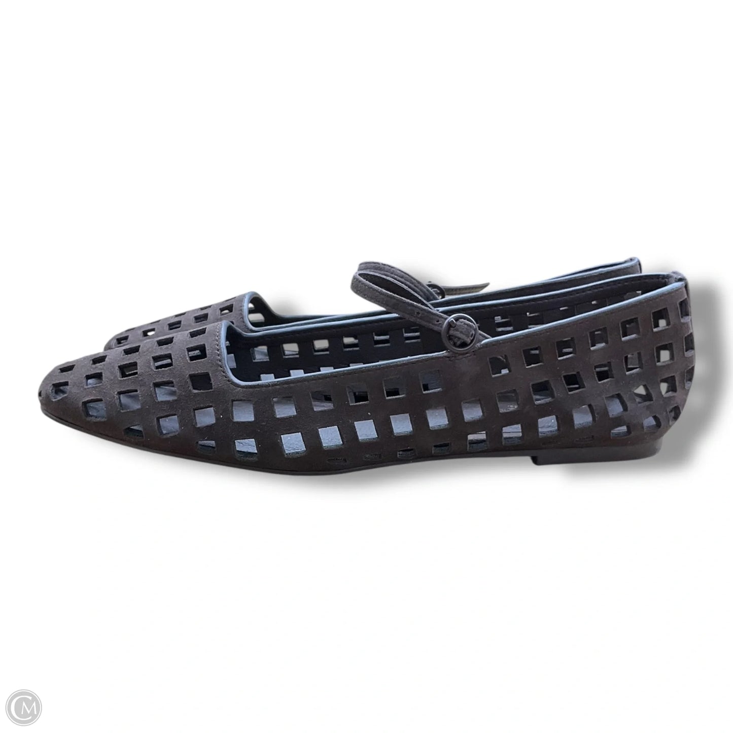 Shoes Flats By Splendid In Brown, Size: 8