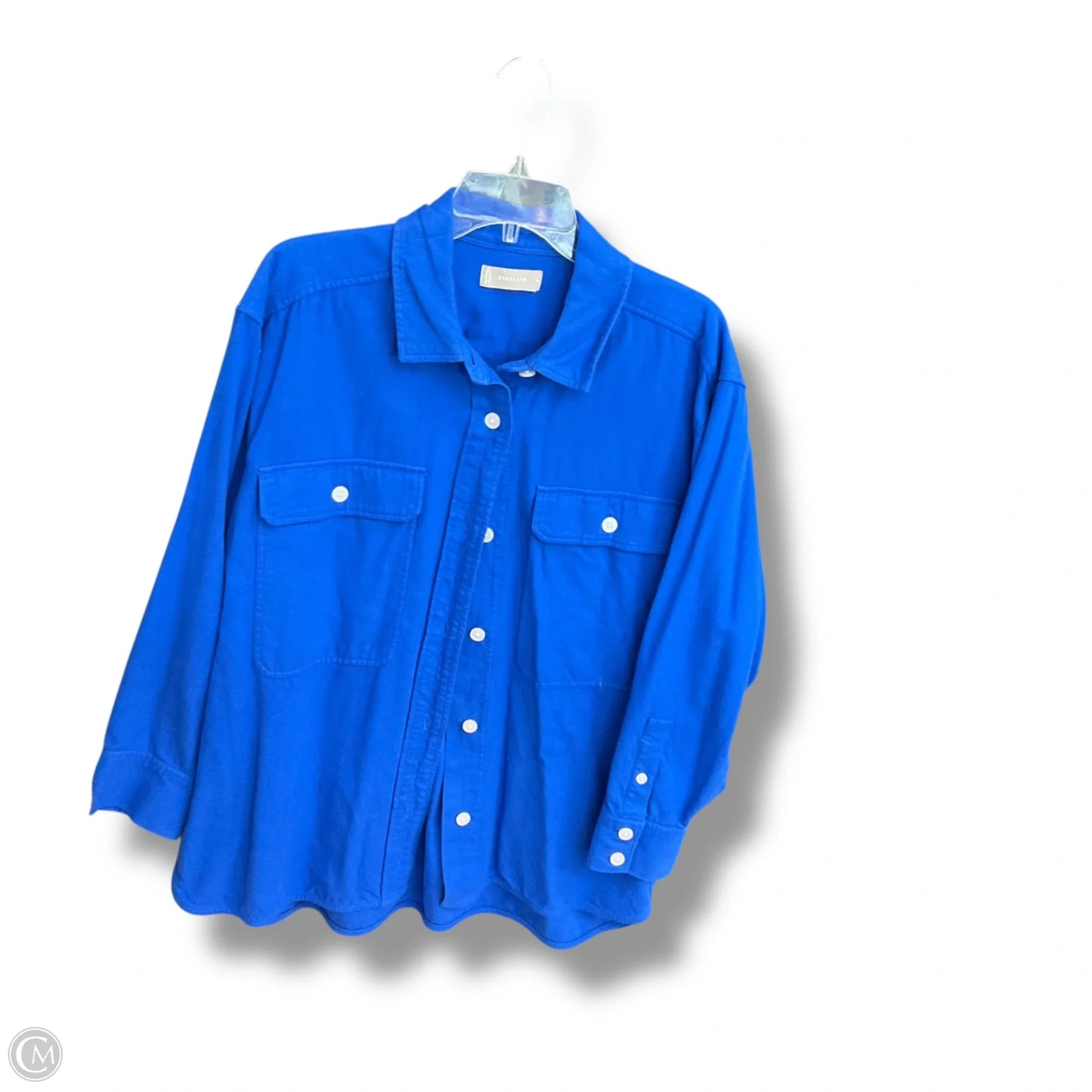 Blouse Long Sleeve By Everlane In Blue, Size: Xl