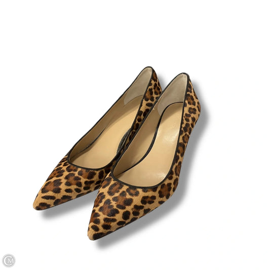 Shoes Heels Kitten By Ann Taylor In Animal Print, Size: 10