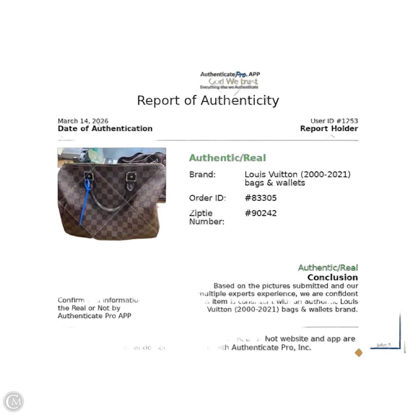 Handbag Luxury Designer By Louis Vuitton, Size: Large