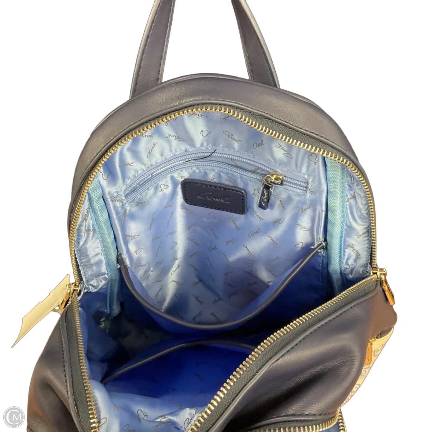 Backpack By Cmc, Size: Medium