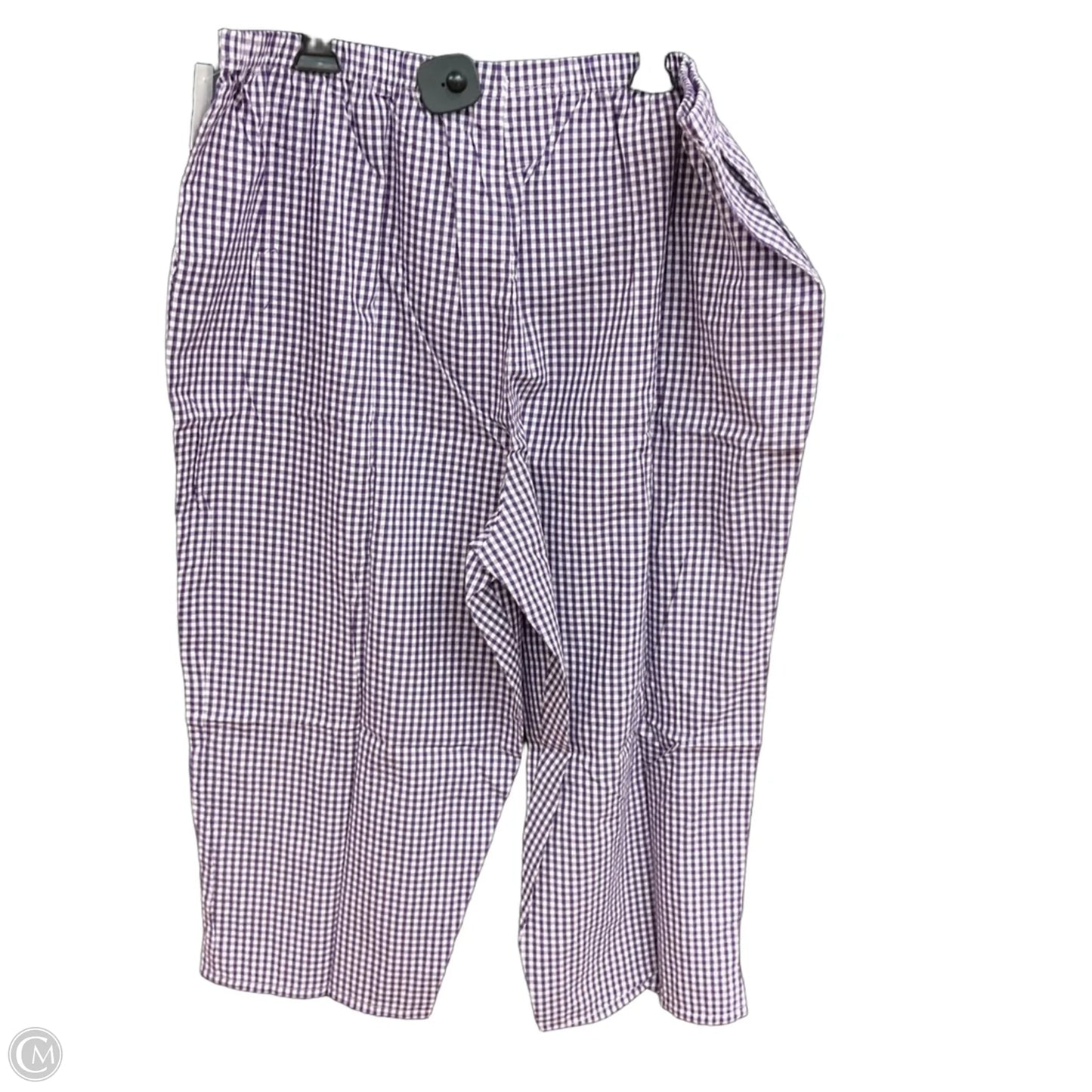 Pants Set 2pc By Blair In Purple, Size: 2x