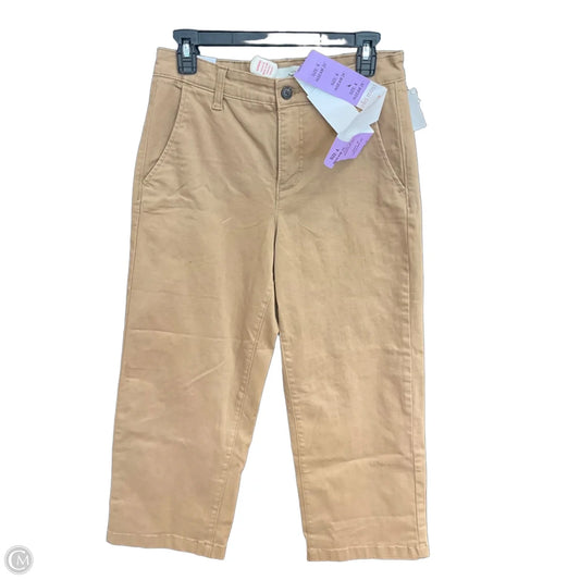 Pants Cargo & Utility By Ella Moss In Brown, Size: 4