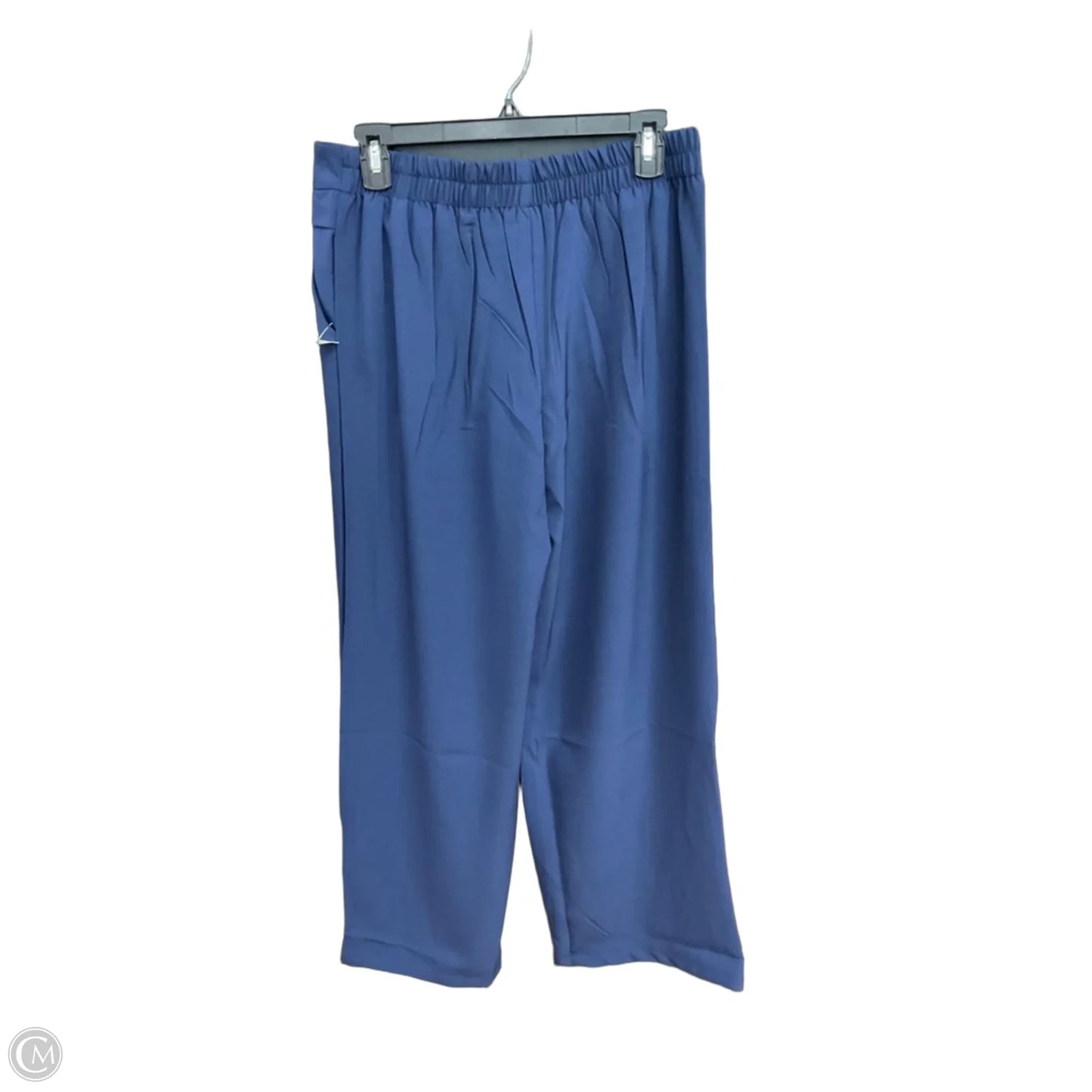 Pants Other By Cmc In Blue, Size: 10